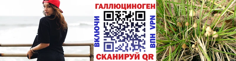 Псилоцибиновые грибы ЛСД  Купить где  Якутск 